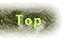 back to top
